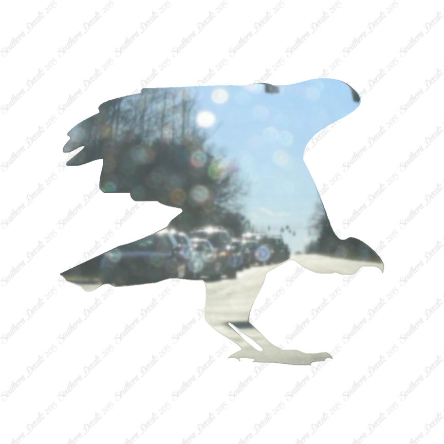 Vulture Bird Condor