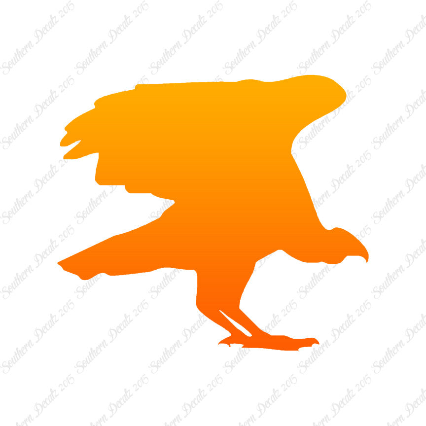 Vulture Bird Condor