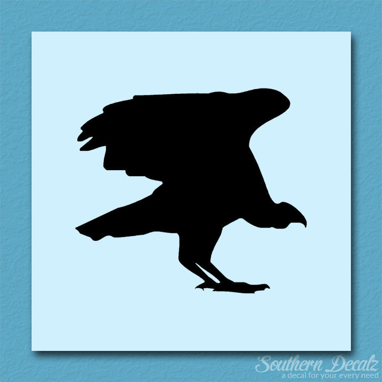 Vulture Bird Condor