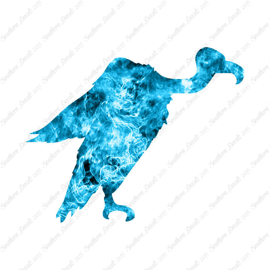 Vulture Condor Bird