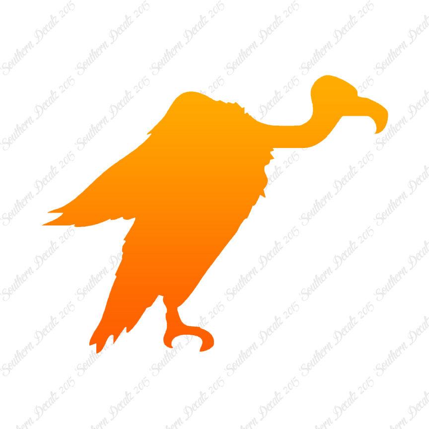 Vulture Condor Bird