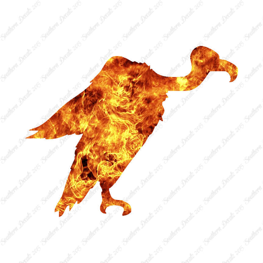 Vulture Condor Bird