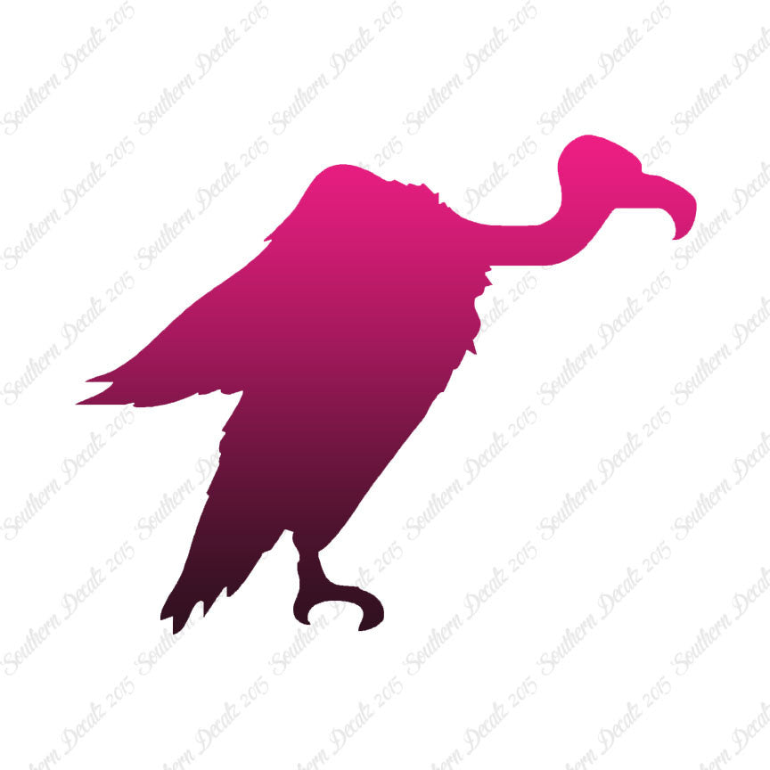 Vulture Condor Bird