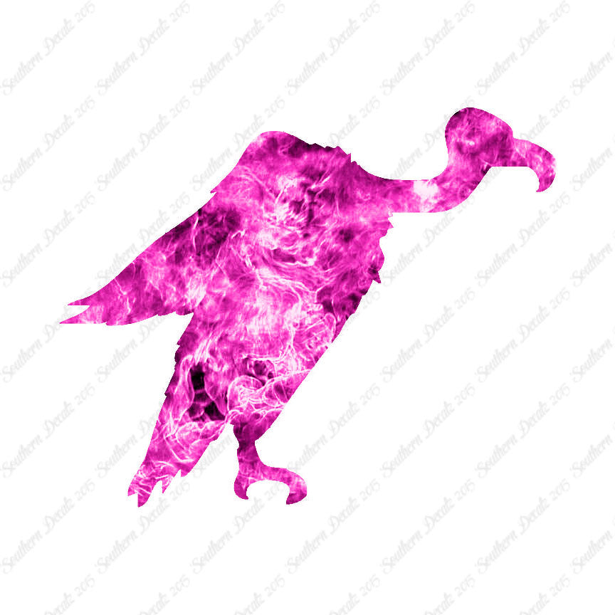 Vulture Condor Bird