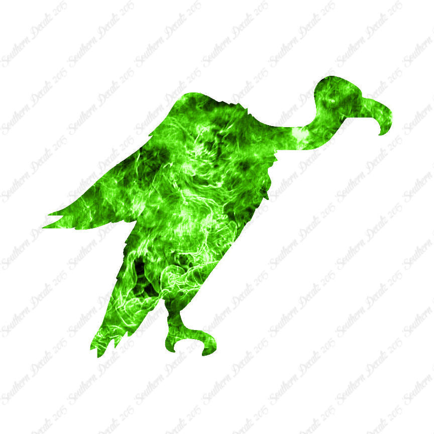 Vulture Condor Bird
