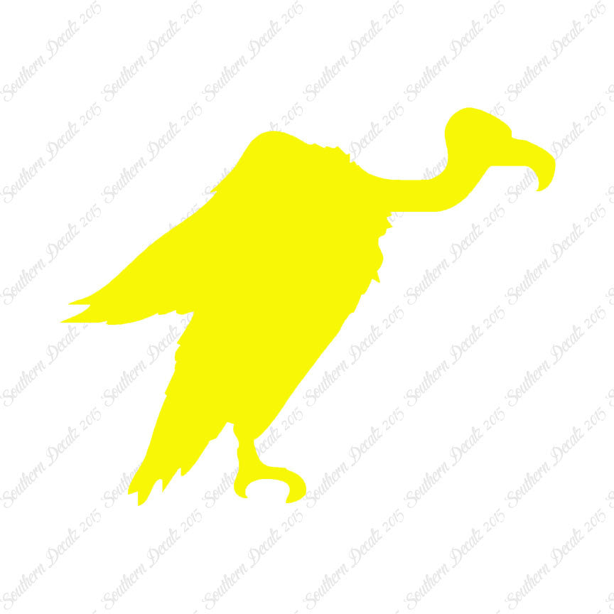 Vulture Condor Bird