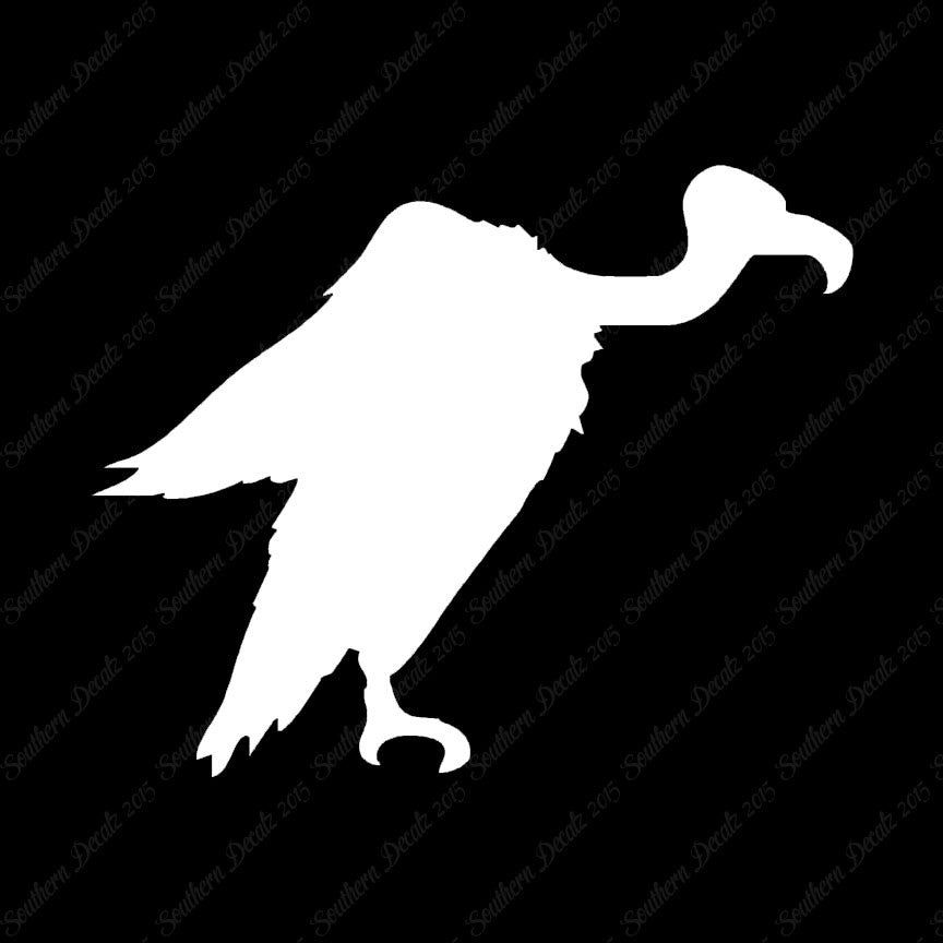 Vulture Condor Bird