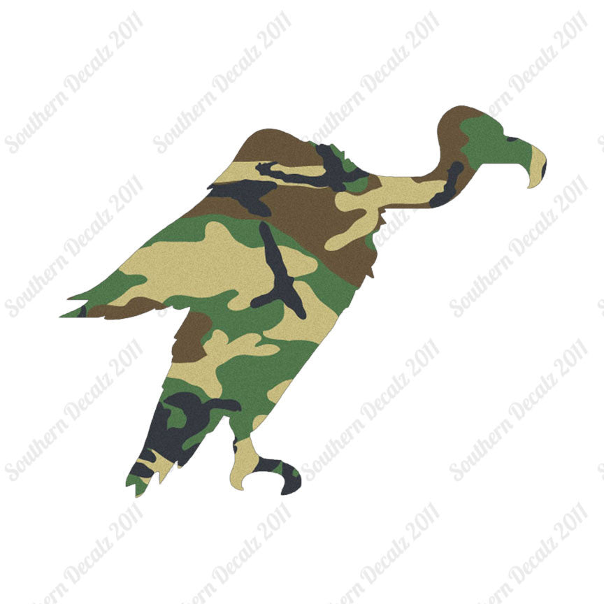 Vulture Condor Bird