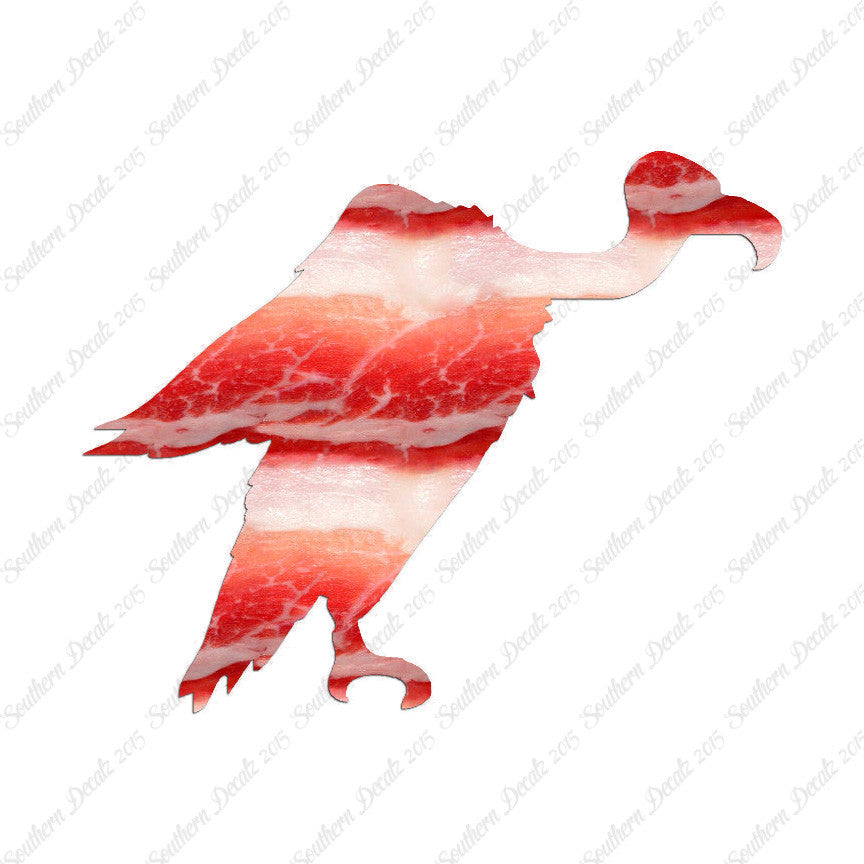 Vulture Condor Bird