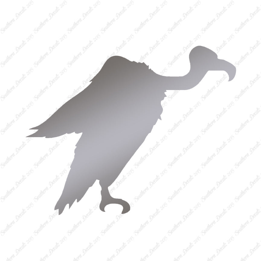 Vulture Condor Bird