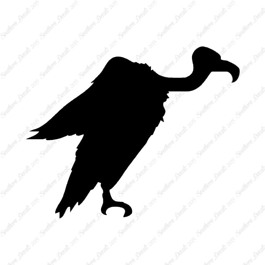 Vulture Condor Bird