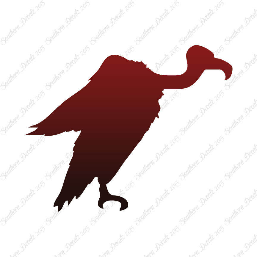 Vulture Condor Bird