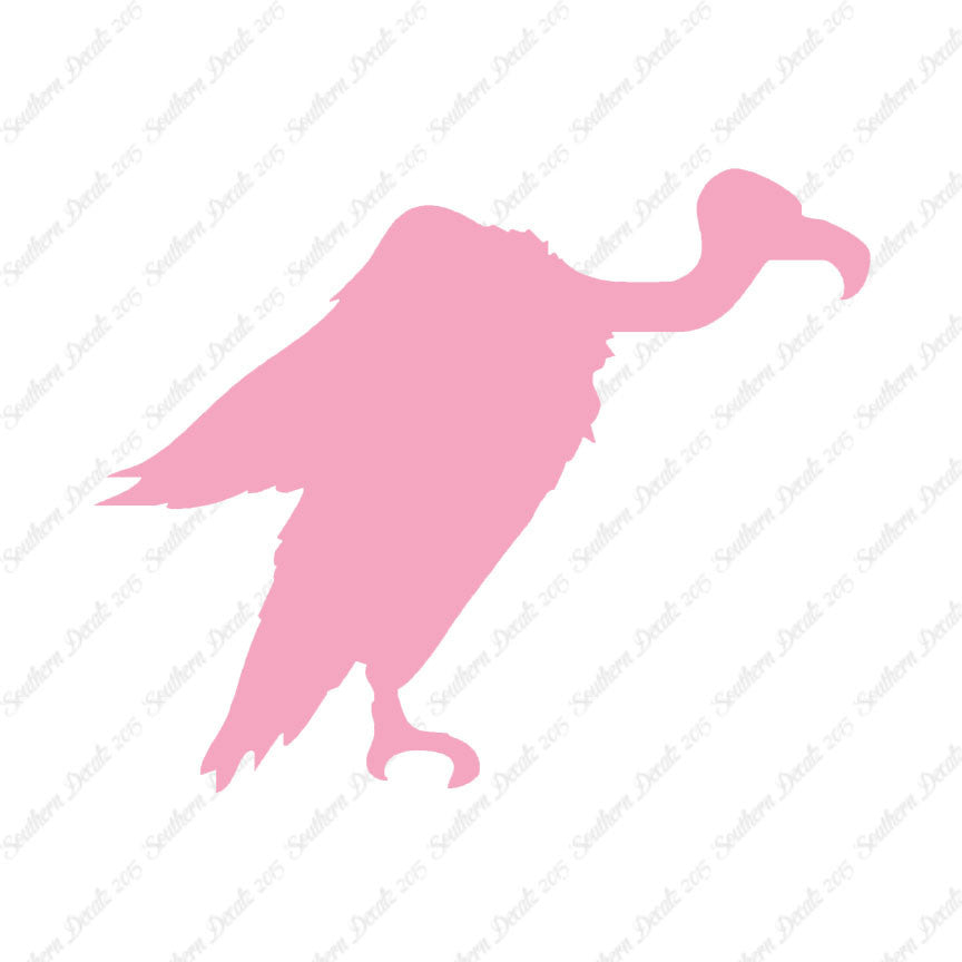 Vulture Condor Bird