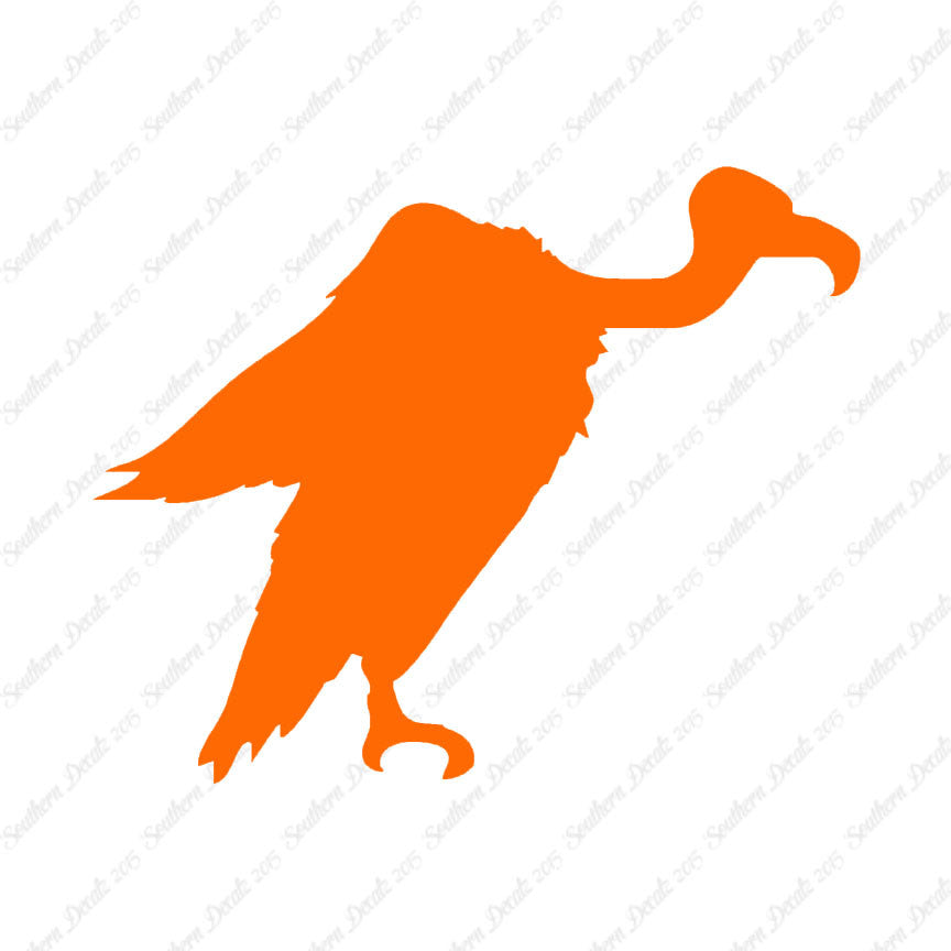 Vulture Condor Bird