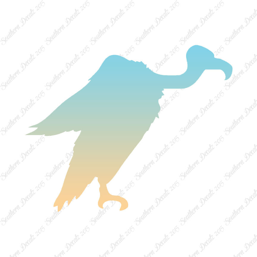 Vulture Condor Bird