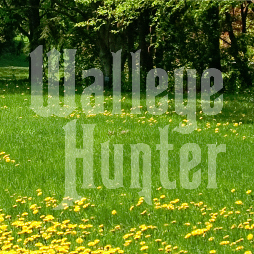Walleye Hunter Fishing