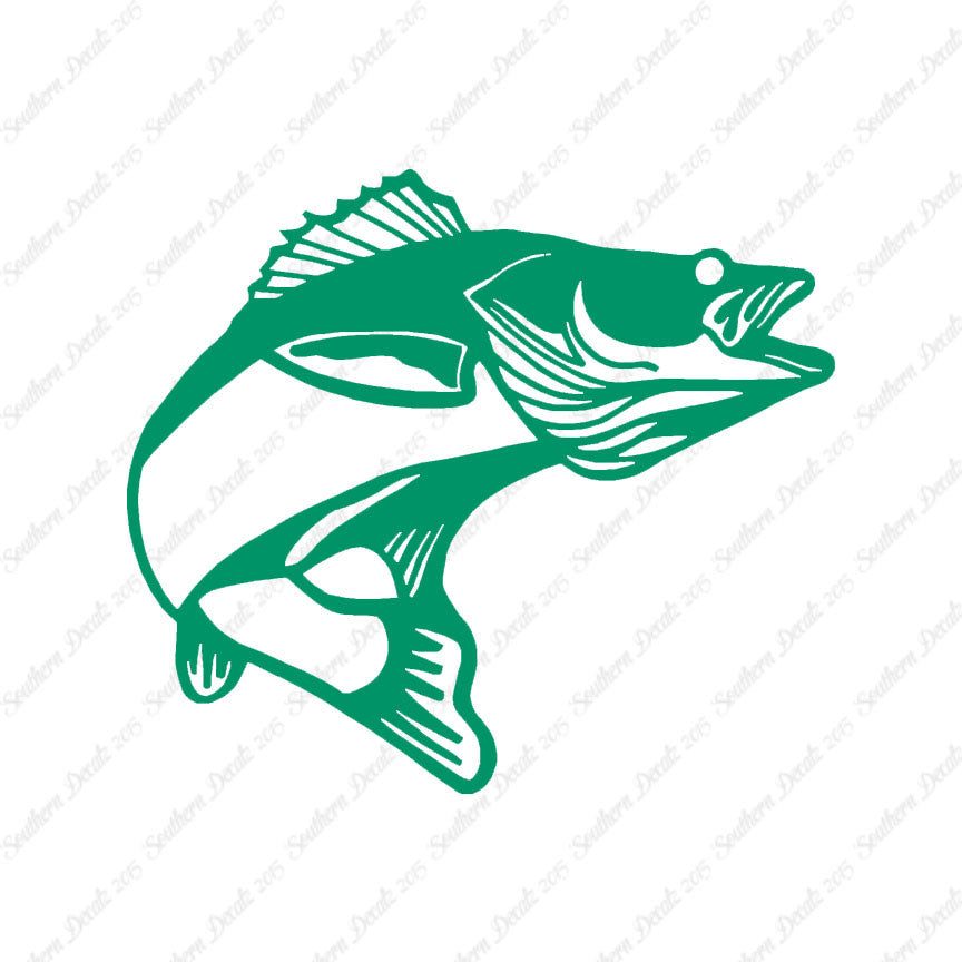 Walleye Fish Bass