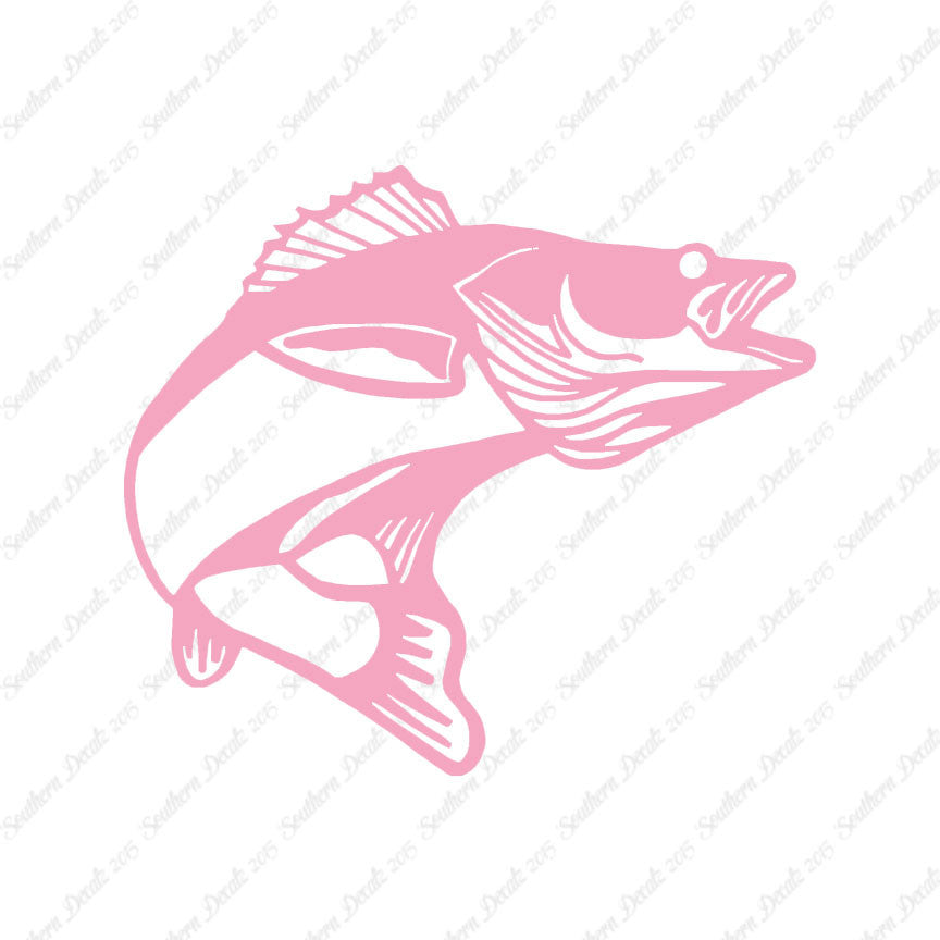 Walleye Fish Bass