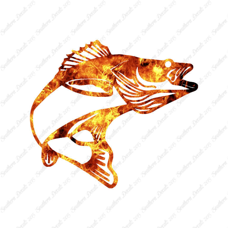 Walleye Fish Bass