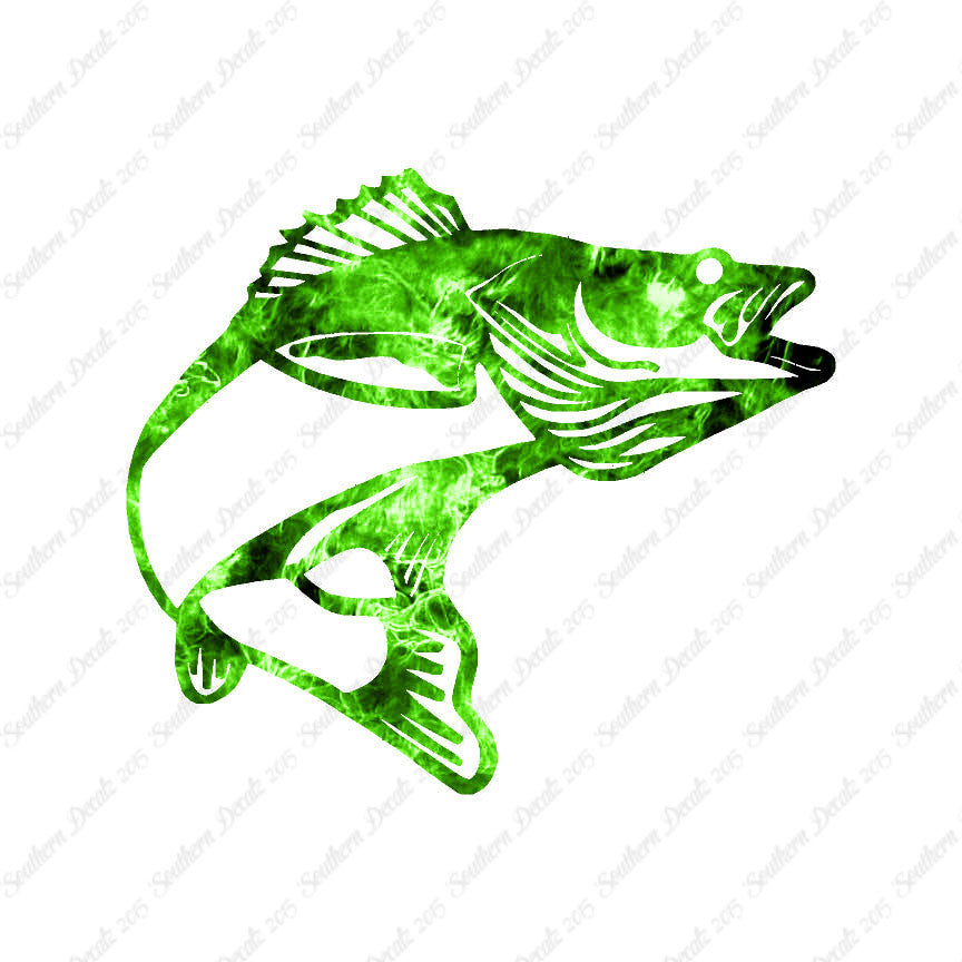 Walleye Fish Bass