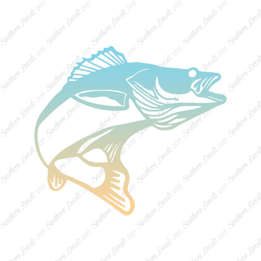 Walleye Fish Bass