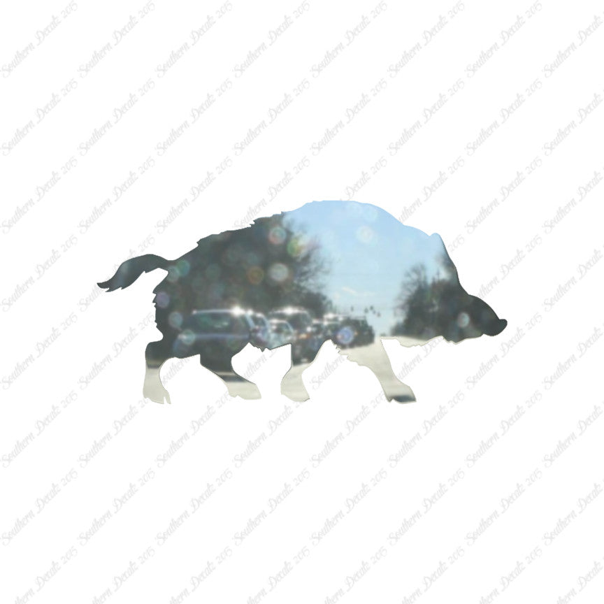 Wild Pig Boar Warthog Hog