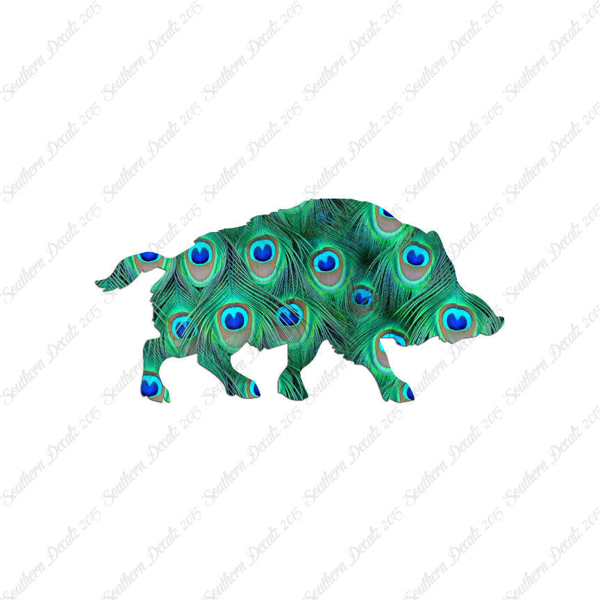 Wild Pig Boar Warthog Hog
