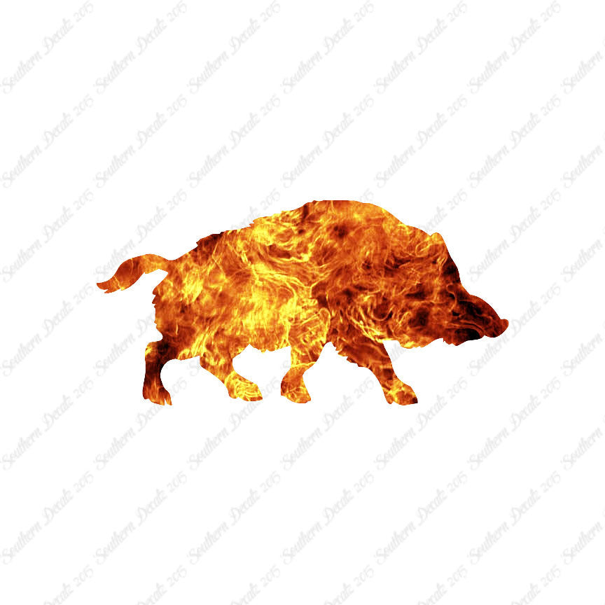 Wild Pig Boar Warthog Hog