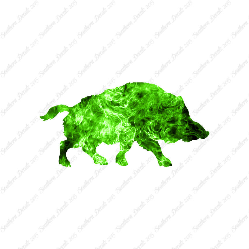 Wild Pig Boar Warthog Hog