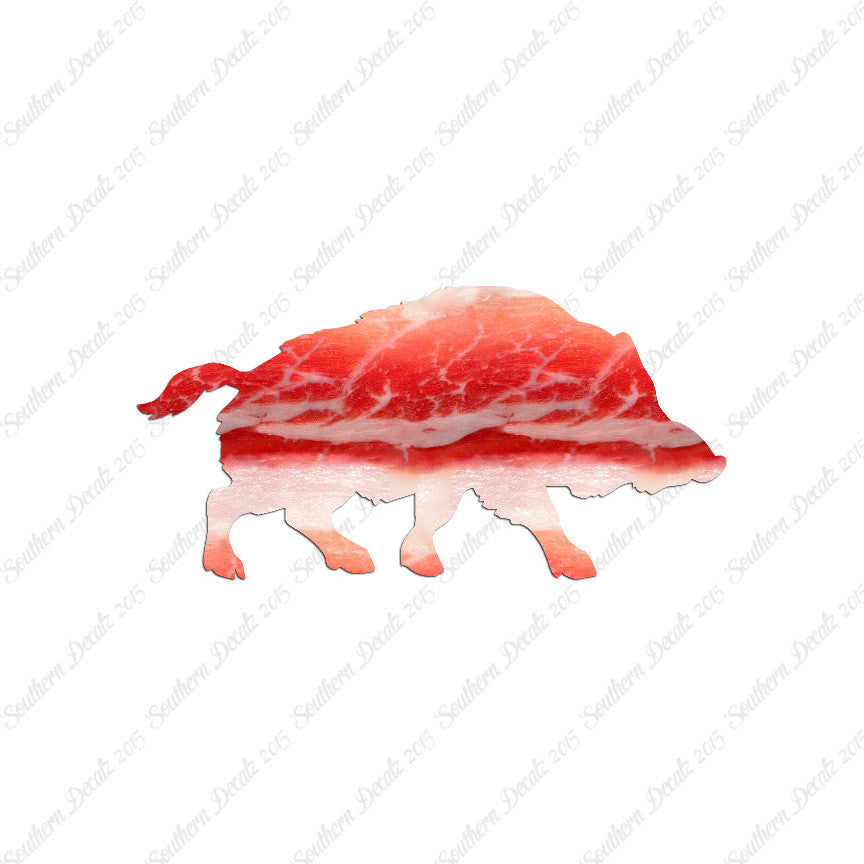 Wild Pig Boar Warthog Hog