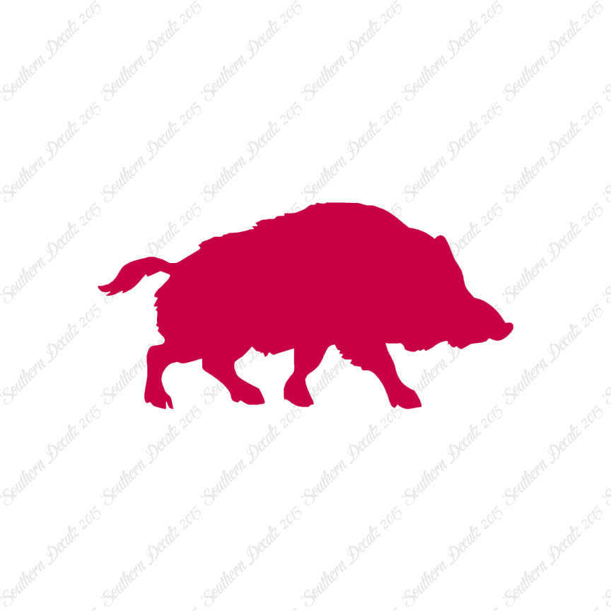 Wild Pig Boar Warthog Hog