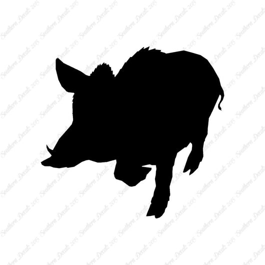 Wild Pig Boar