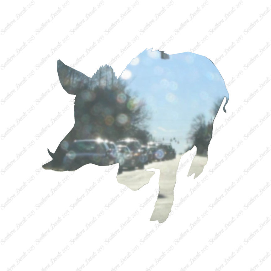 Wild Pig Boar