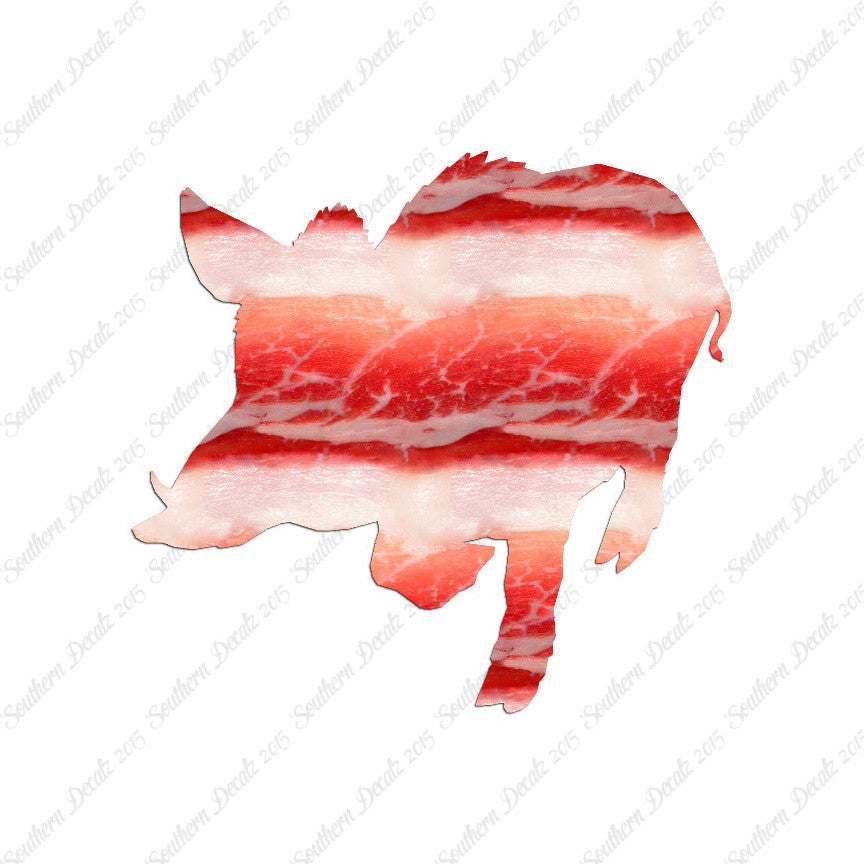 Wild Pig Boar