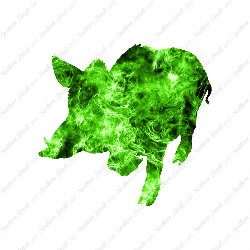 Wild Pig Boar