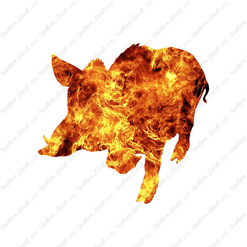 Wild Pig Boar