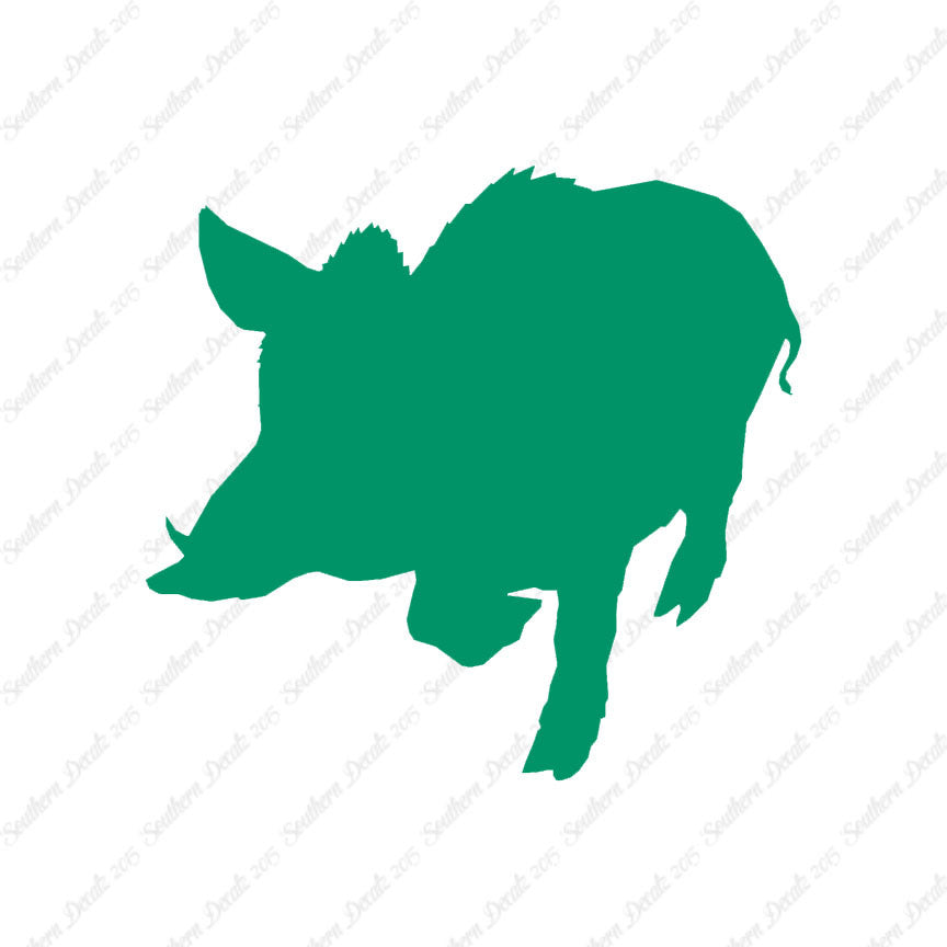 Wild Pig Boar