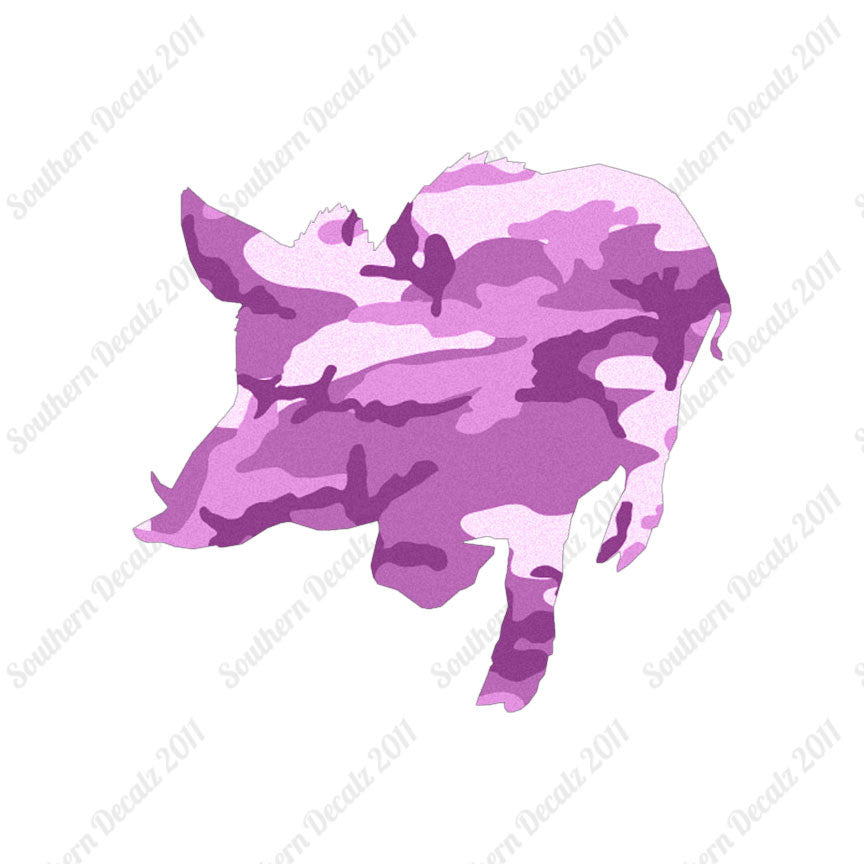 Wild Pig Boar