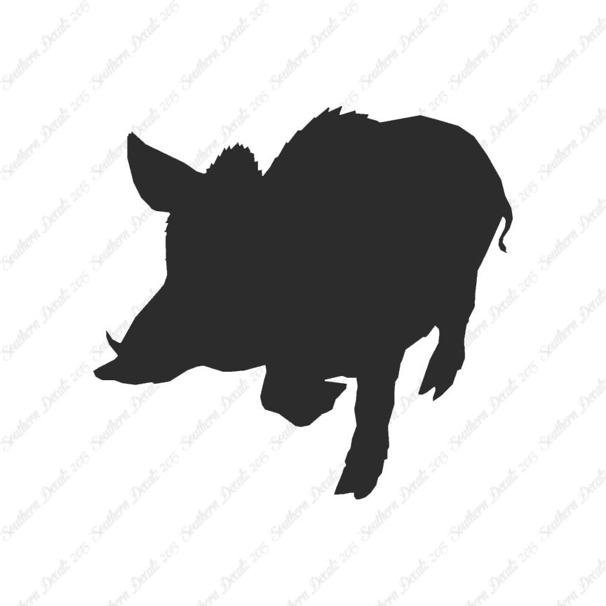 Wild Pig Boar