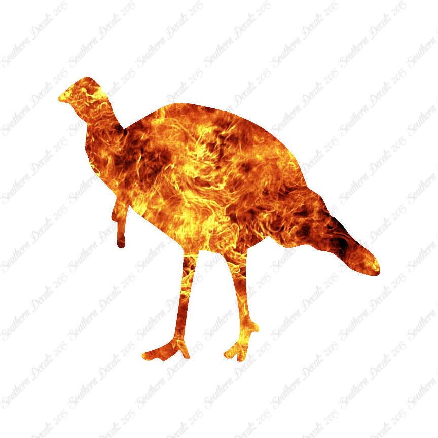 Wild Turkey Game Bird