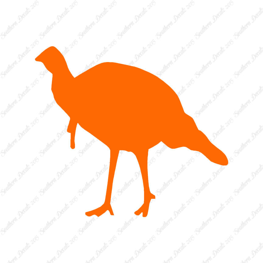 Wild Turkey Game Bird