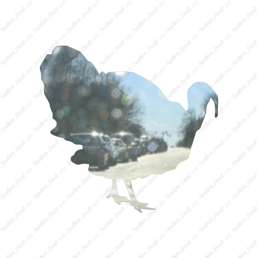 Wild Turkey Gobbler Game Bird