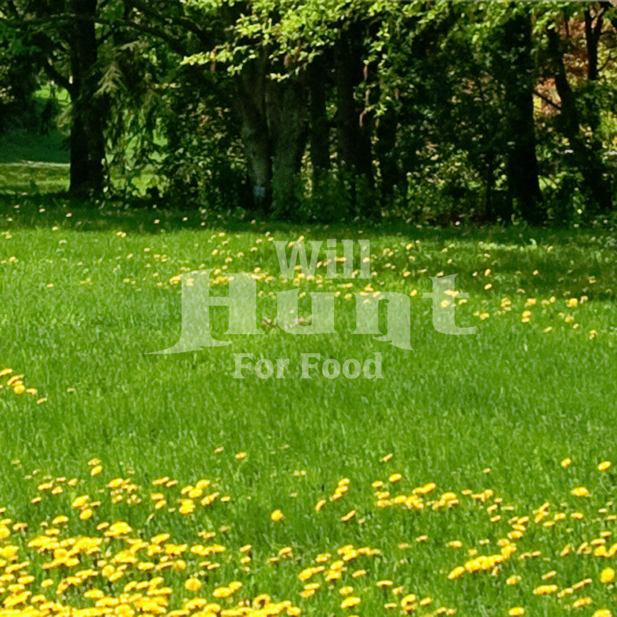 Will Hunt For Food Hunting