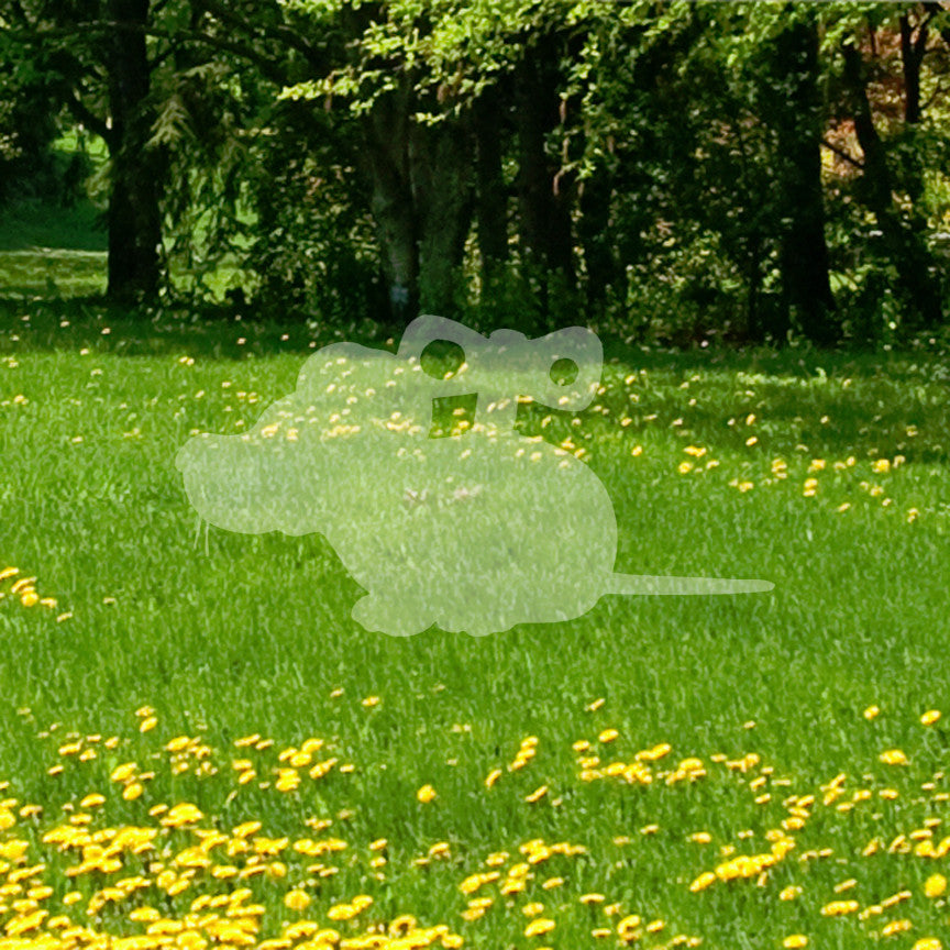Toy Mouse Wind Up