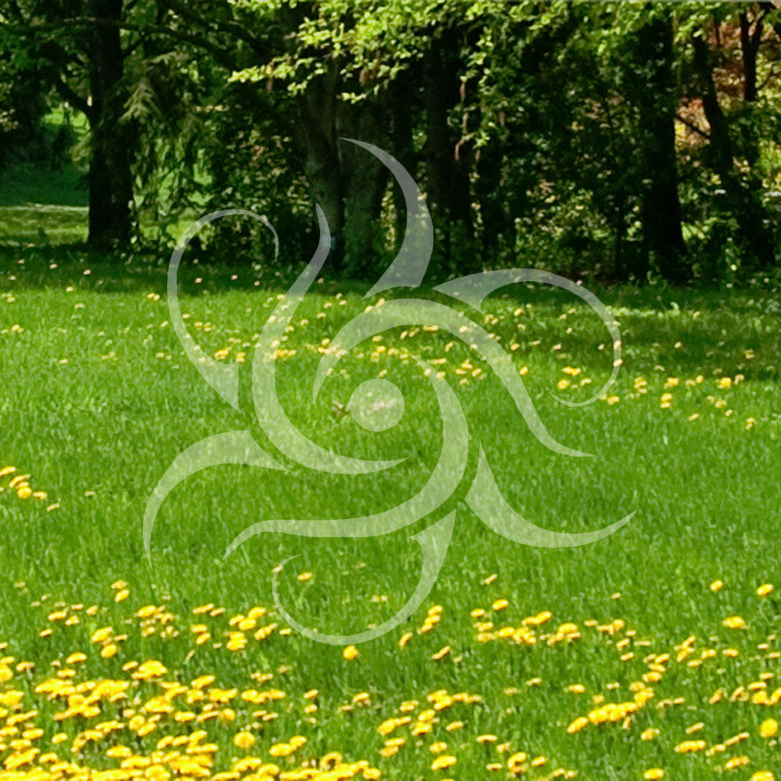 Tribal Swirl Art Design