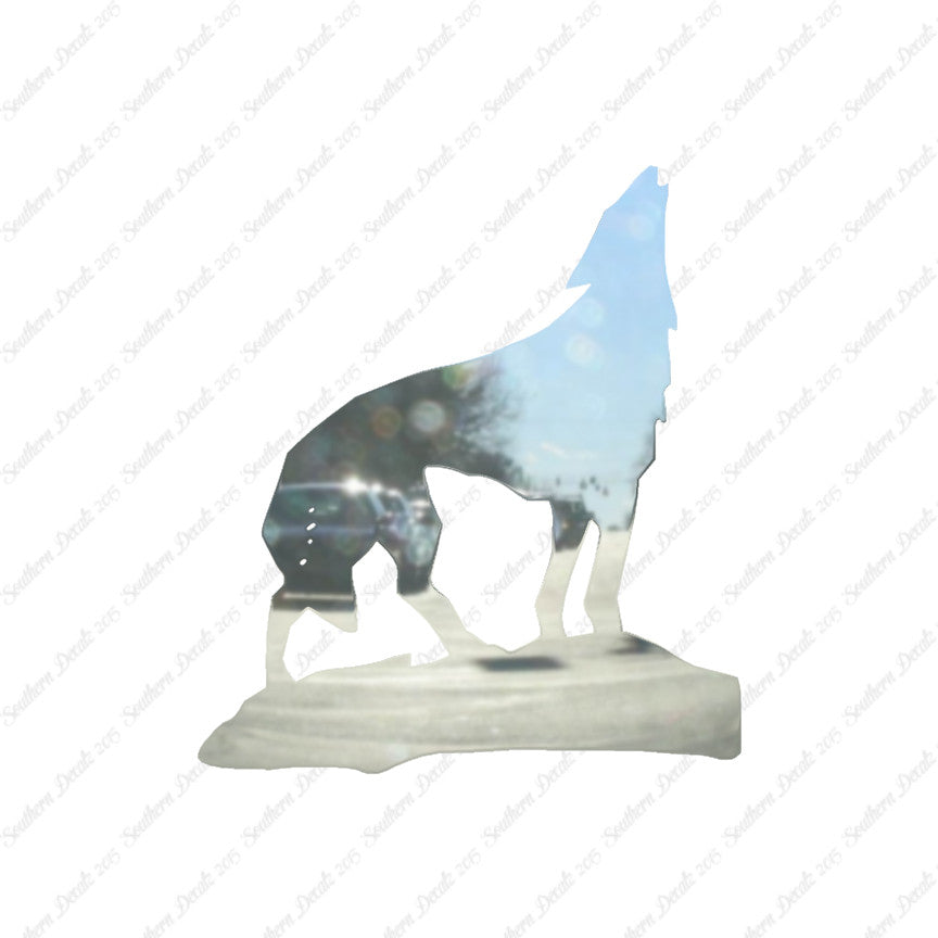 Coyote Wolf Howling