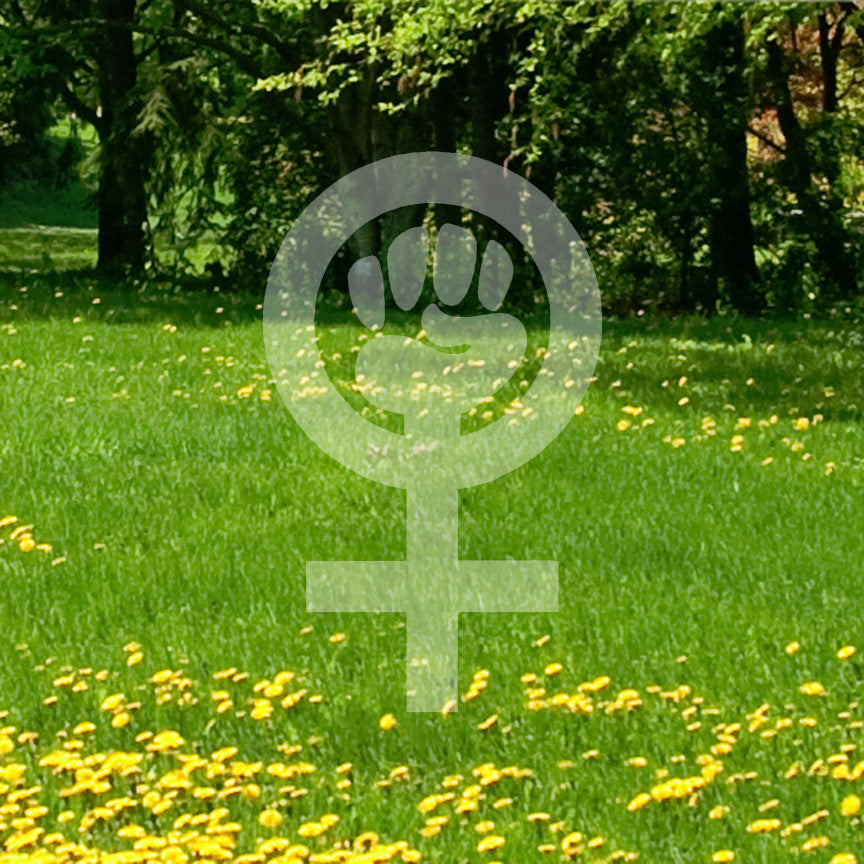 Woman Power Feminist Girl