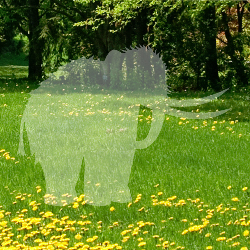 Woolly Mammoth Elephant