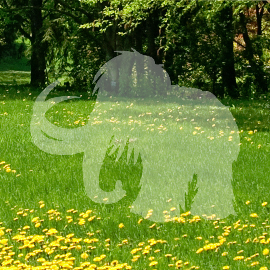 Elephant Woolly Mammoth
