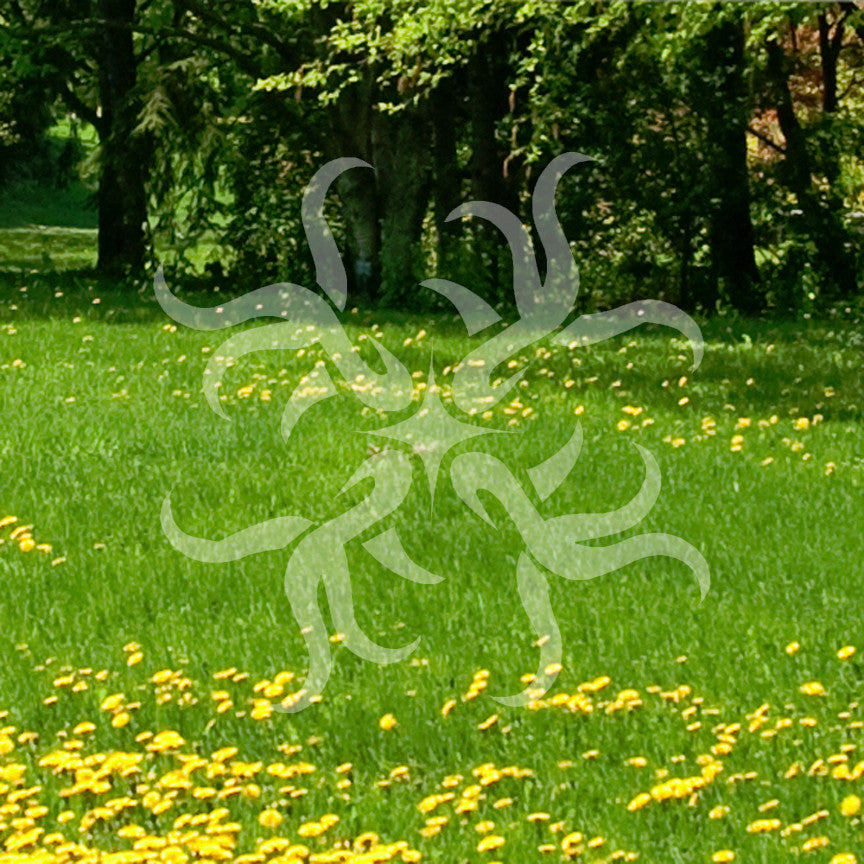 Tribal Art Flourish Design
